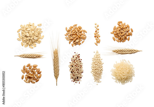 Whole cereal grains wheat ears and rice collection SVG on transparent background