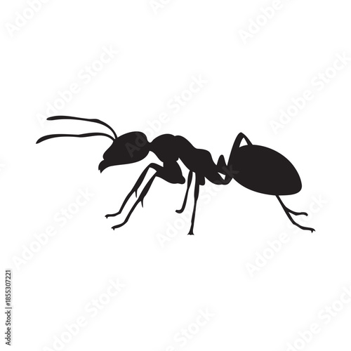 Black Ant Silhouette Isolated on Dark Background