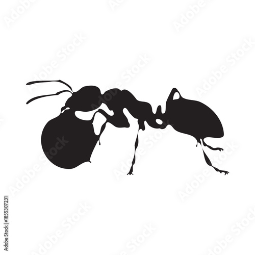 Black Ant Silhouette on Dark Background