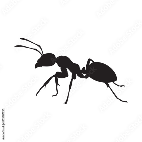 Black Ant Insect Silhouette Isolated Graphic