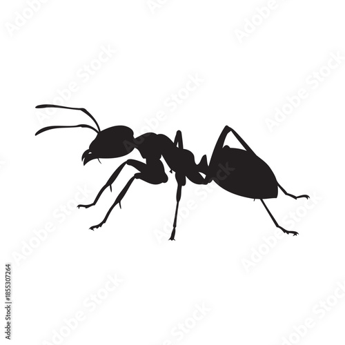 Black Ant Silhouette Isolated on a Dark Background