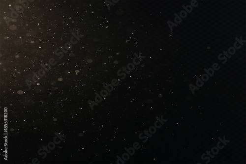 Cinematic Dust Particle Overlay