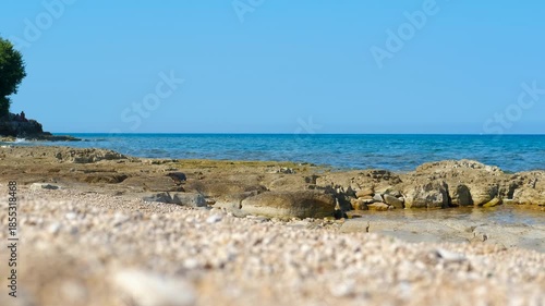 Seagull walking on a rocky beach searching for food. Serene coastal landscape featuring a rocky shore with clear blue water and a seagull walking along the coastline on a sunny day