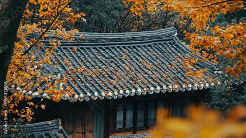 The vibrant colors of autumn leaves provide a beautiful contrast with the traditional blue and white tiles on this traditional Korean house.