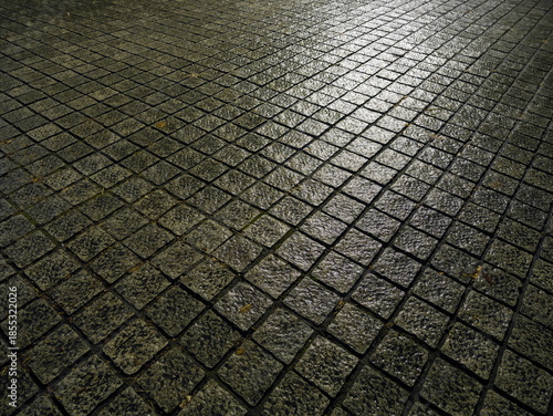 Tokyo, Japan - December 25, 2025: Wet street after the rain at dawn
