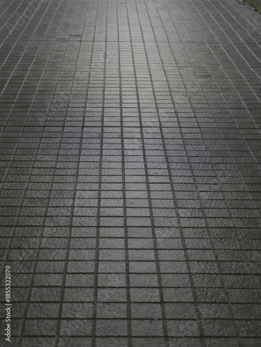 Tokyo, Japan - December 25, 2025: Wet street after the rain at dawn
