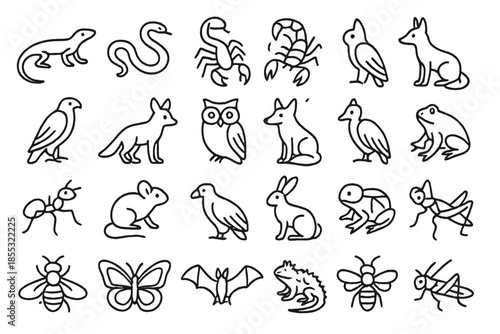 Desert Wildlife Icons. Line style icons of desert wildlife: lizard, snake, scorpion, beetle, hawk, fox, owl, coyote, ant, mouse,
