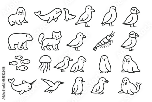 Arctic Wildlife Icons. Line style icons of arctic wildlife: seal, whale, orca, albatross, polar bear, arctic fox, snow petrel,