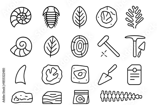 Fossil Icon Compilation. Line style icons of Fossil Discovery: ammonite, trilobite, fern imprint, bone fragment, shell fossil,