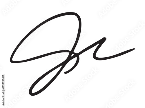 Elegant handwritten signature with smooth curved lines isolated on white background, graphic illustration. autograph, branding identity, stylish personal sign, logo element, calligraphy design