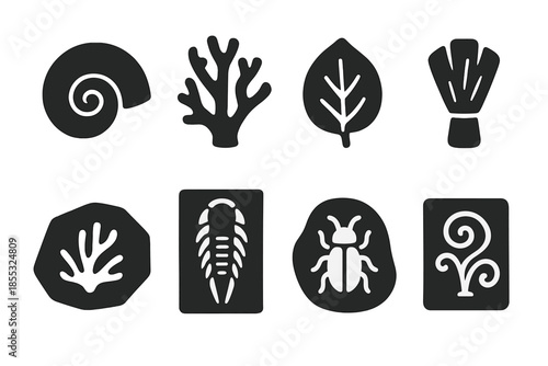 Fossil Art Icons. Solid style icons of fossil artworks: engraved ammonite, carved coral relief, petrified petal, mineral brush