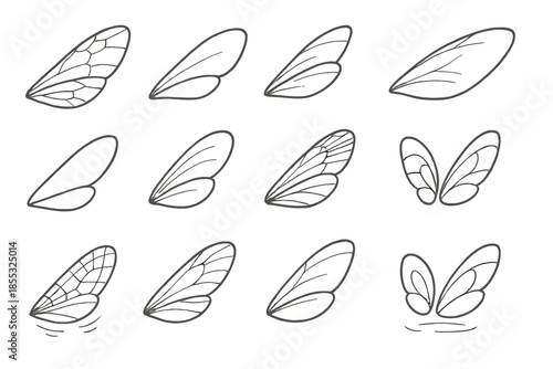 Bee Wing Illustrations. Line style icons of bee wings: transparent wing, fine veins, folded tip, light shimmer, thin membrane,