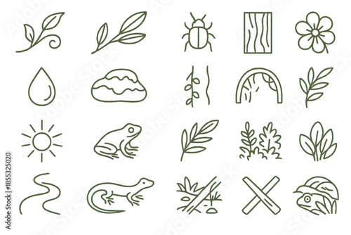 Jungle Icons Collection. Line style icons of jungle and habitat: leaf vine, tropical branch, small insect, flower bloom, dew drop,