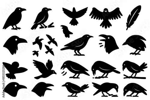 Crow and Raven Icons. Solid style icons of Crows and Ravens: black crow, perched raven, flying silhouette, spread wings, feather,