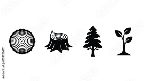 Growth and change illustrated by tree life stages from stump to sapling