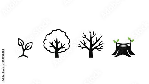 Illustration showing the life cycle of a tree from seedling to stump
