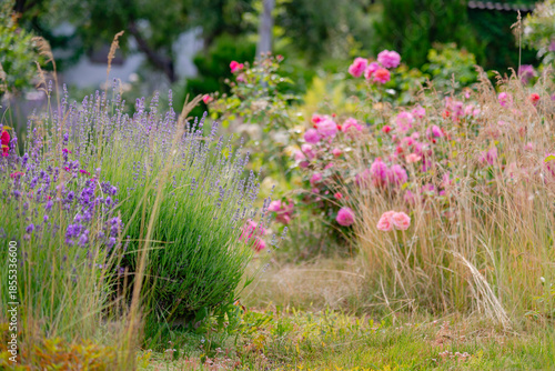 flowers in the garden
