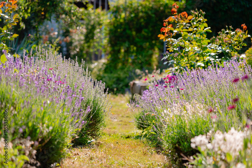 flowers in the garden
