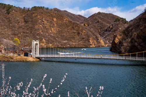 The lake and bridge in spring, with apricot blossoms blooming on both banks.