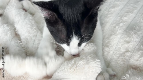 Cute black and white cat sleeping peacefully on soft blanket, cozy home atmosphere, relaxed pet resting indoors, calm moment, comfort, warmth, domestic lifestyle scene