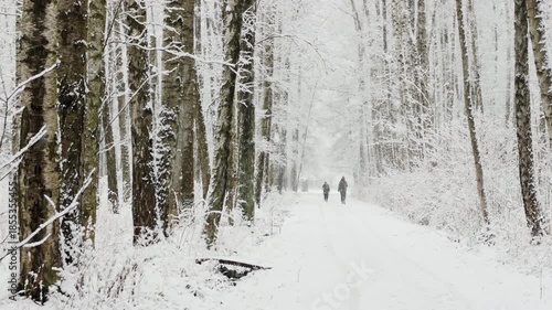 it is snowing heavily in the park, large flakes of snow are slowly falling on tree branches, people are walking dogs, elderly people are doing Nordic walking with sticks