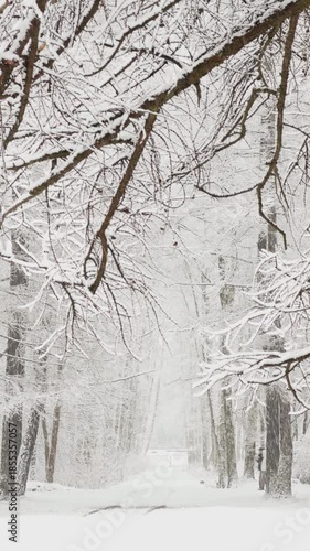 it is snowing heavily in the park, large flakes of snow are slowly falling on tree branches, people are walking dogs, elderly people are doing Nordic walking with sticks