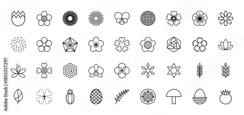 Botany and nature line icon set. Vector pictograms of flowers, leaves, plants, seeds, succulents, mushrooms, grains, and floral buds, thin outline illustration.