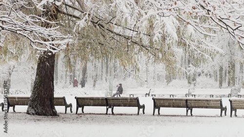 it is snowing heavily in the park, large flakes of snow are slowly falling on tree branches, people are walking dogs, elderly people are doing Nordic walking with sticks