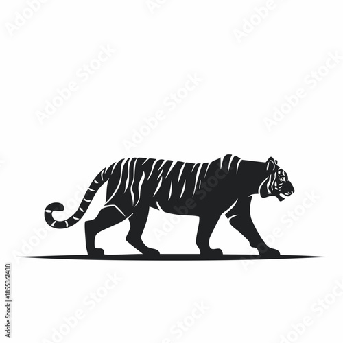 Striking Silhouette of a Walking Tiger with Distinctive Stripes and Powerful Build.