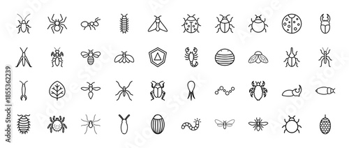 Insect and bug line icon set. Vector pictograms of spider, ant, beetle, fly, bee, scorpion, ladybug, grasshopper, cockroach and mosquito, thin outline illustration.