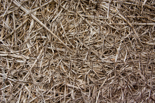 Close-up texture of dried rice straw pattern, natural background of golden brown hay.