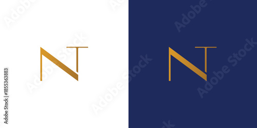 Luxury and modern letter NT initials logo design