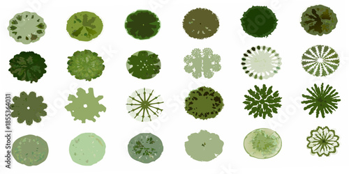 Collection of different top down views of trees and foliage patterns