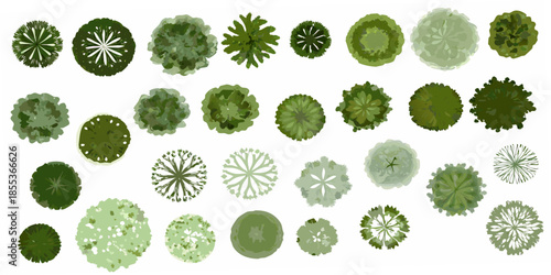 An aerial view showcasing diverse green tree canopy shapes and textures