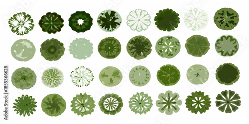 An assortment of circular tree canopy views in varying shades of green