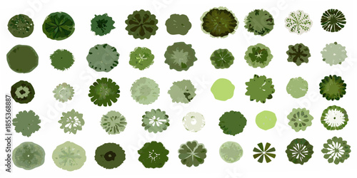 A collection of various green tree top views arranged in a grid pattern