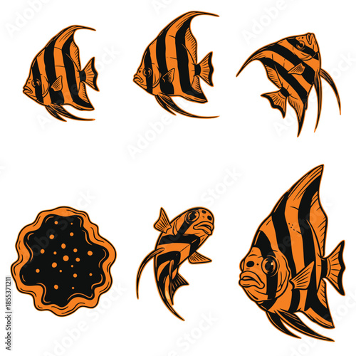 Angelfish and coral reef marine life illustration.