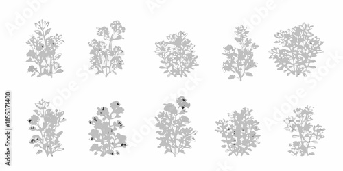 Collection of grayscale floral botanical illustrations in a repeating pattern