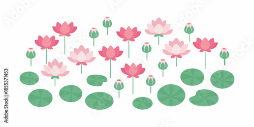 A flat lay illustration of pink lotus flowers and green lily pads