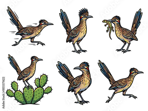 Greater Roadrunner bird set in various poses.
