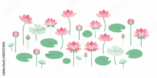 A serene illustration of pink lotus flowers and green lily pads