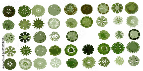 An aerial view showcasing diverse tree canopy shapes and leafy green textures