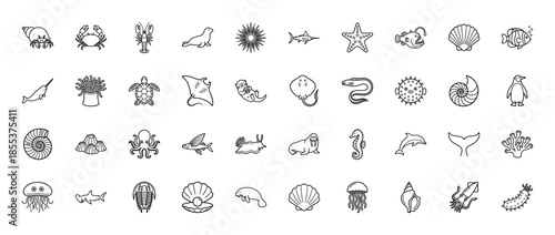Marine life line icon set. Vector pictograms of crab, seal, turtle, dolphin, octopus, shark, starfish, jellyfish, seahorse, ray, whale, thin outline illustration.