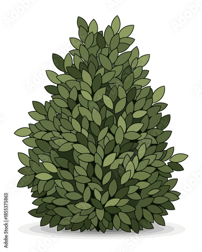 Green leafy bush illustration with a shadow beneath it, set against a white background, depicting a common garden plant in a stylized drawing