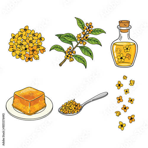 Natural Bee Products Collection with Flowers and Oil.