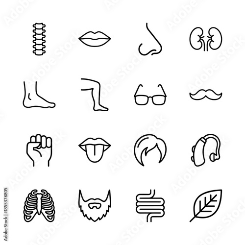 Human anatomy and health line icon set featuring vector pictograms of spine, kidney, lung, intestine, foot, ear, and face features in a thin outline illustration style.