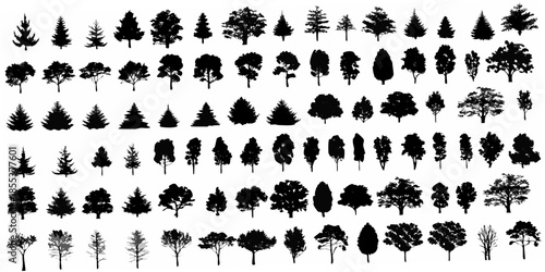 A collection of diverse tree silhouettes arranged in a grid pattern