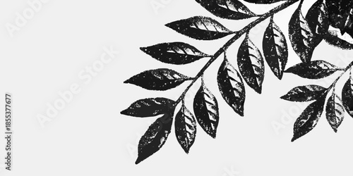 A delicate black and white illustration of a leafy branch with several leaves
