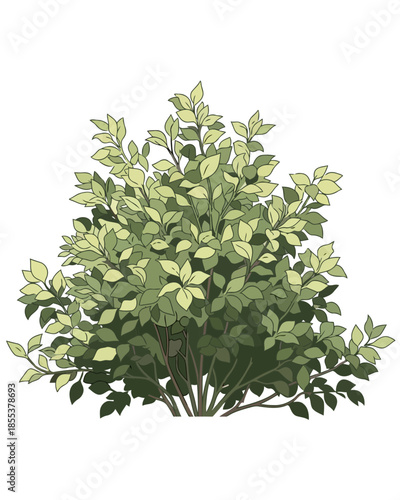 Vibrant green bush illustration with lush foliage and organic branches, depicting a natural garden element or decorative plant for diverse design projects