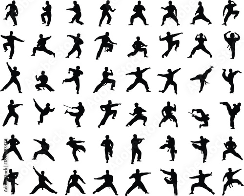 Dynamic martial arts silhouettes collection showcasing diverse fighting stances, kicks, punches, weapon techniques, and defensive postures for training visuals